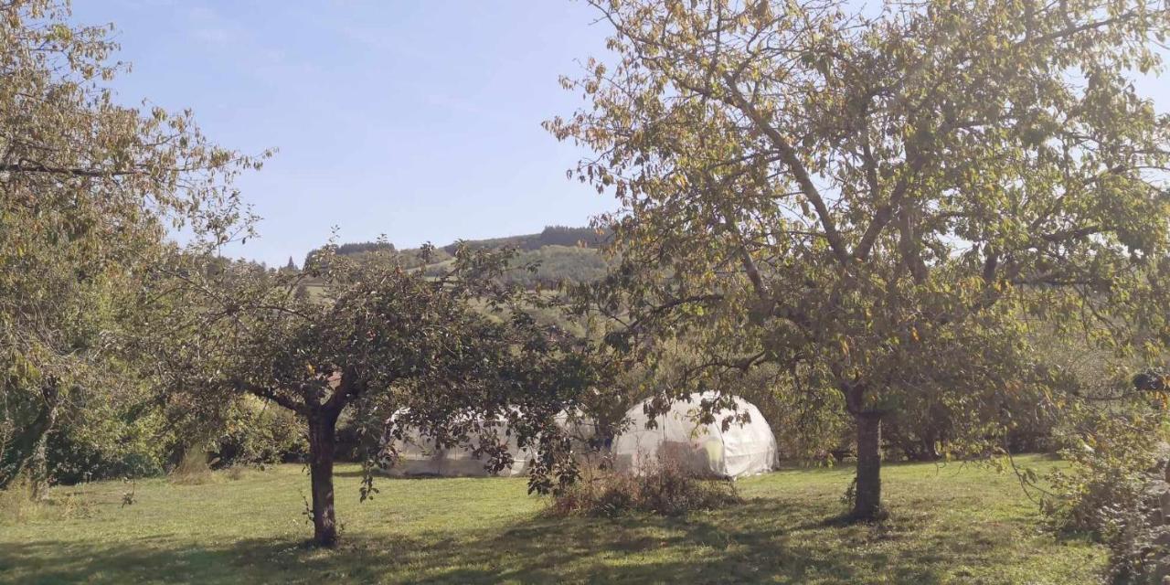 Petit gîte ou chambre d'hôtes 2/4 personnes Buffieres Exterior foto